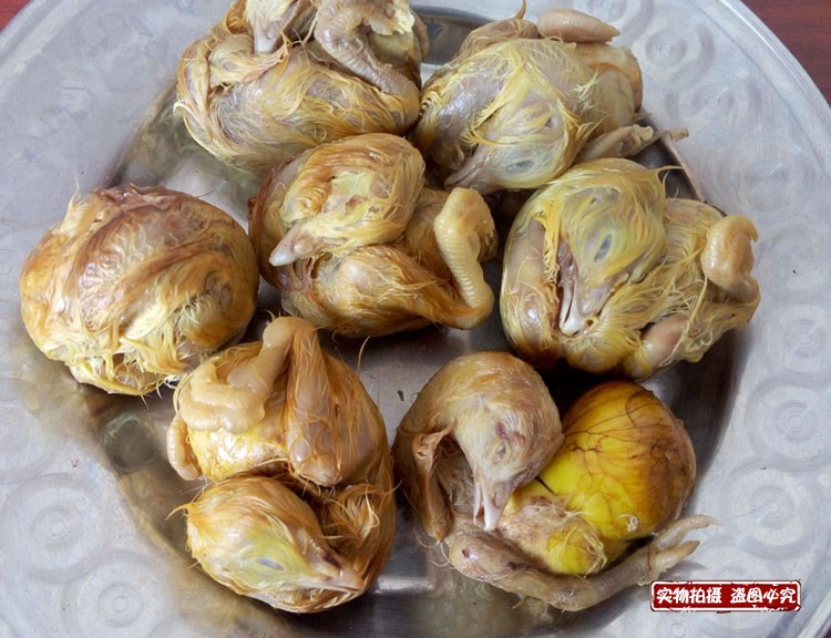 包邮3040生龙凤活珠子鸡胚蛋包邮高邮鸡胚20蛋15活珠子 毛蛋13熟在类目 水产肉类/新鲜蔬果/熟食, 蛋/蛋制品, 鲜活蛋类, 鸡蛋中 - 来自Buy2taobao.com提供专业的淘宝代购服务