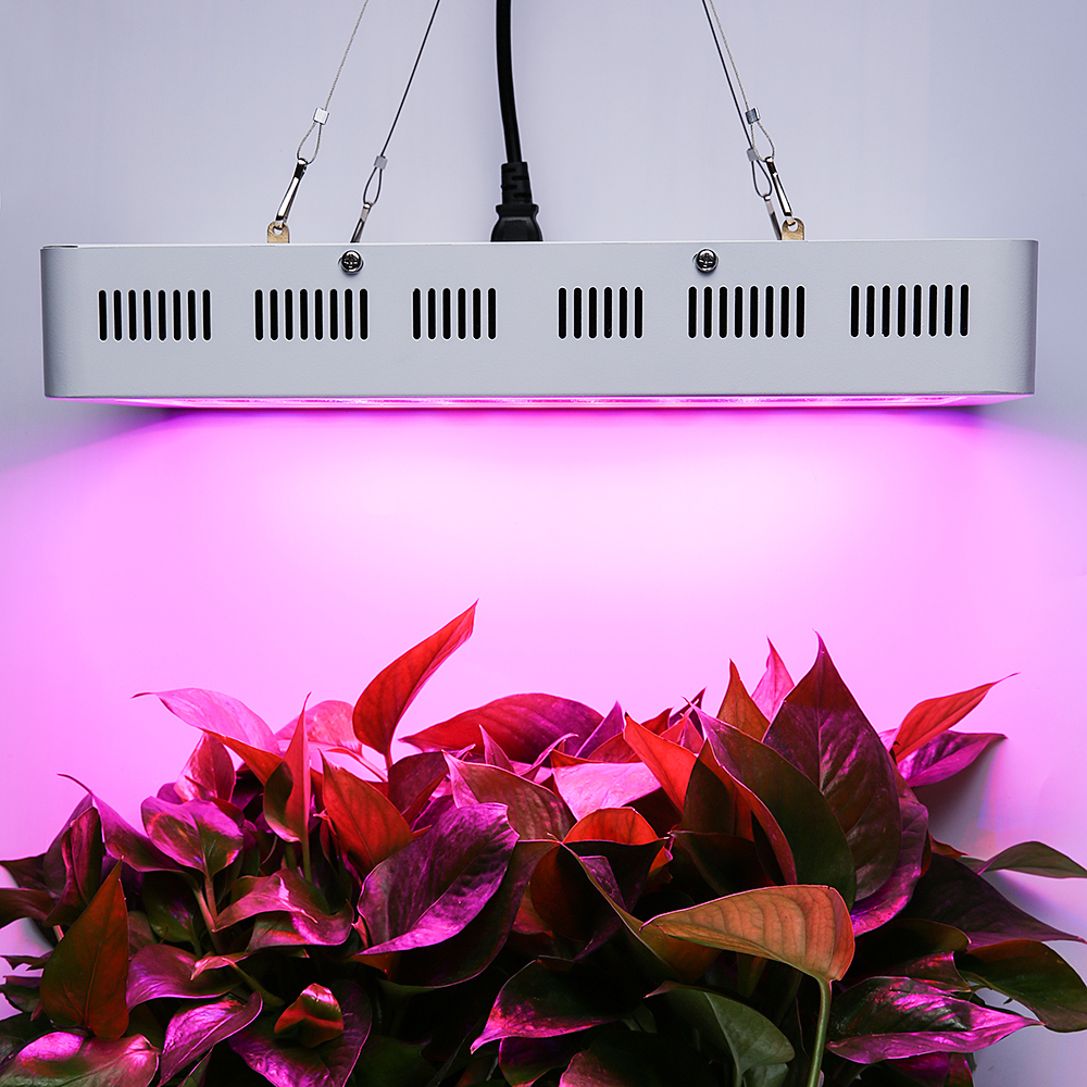LED多肉补光灯上色全光谱植物生长灯家用室内花卉仿太阳光灯在类目 家装主材, 灯具灯饰, 功能性灯具, 植物生长灯中 - 来自Buy2taobao.com提供专业的淘宝代购服务