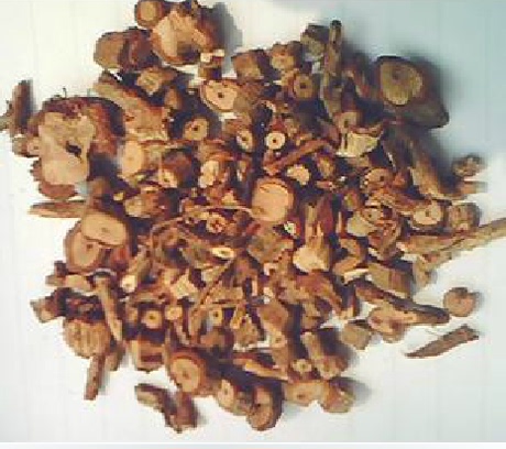 中药材 红木香别名:紫金皮,金谷香,紫骨香,土木