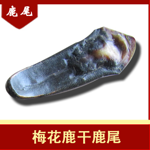  [世鹿]梅花鹿尾 鹿尾 干鹿尾 鹿尾巴 重量超过50g  280元/个