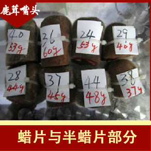  [世鹿]梅花鹿鹿茸 蜡片与半蜡片部分 鹿茸嘴头 头茬二杠 12元/克