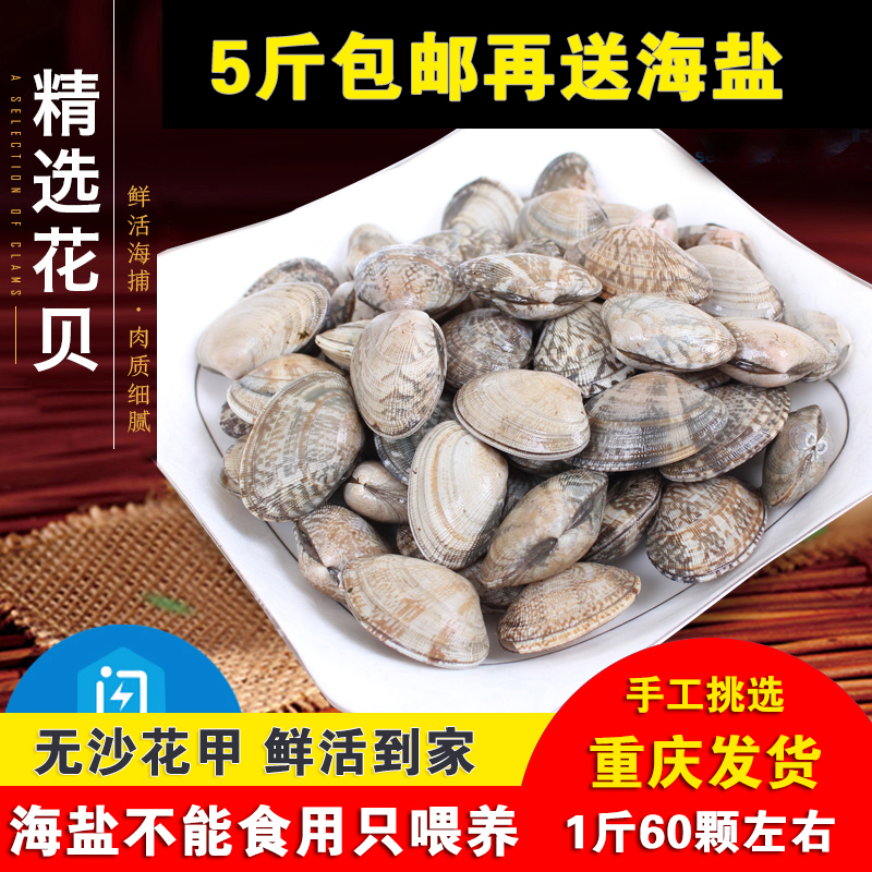新鲜花甲鲜活花蛤蜊花蚬子水产无沙花蛤贝类500g海鲜重庆四川包邮在类目 水产肉类/新鲜蔬果/熟食, 海鲜/水产品/制品, 贝类, 贝类制品中 - 来自Buy2taobao.com提供专业的淘宝代购服务