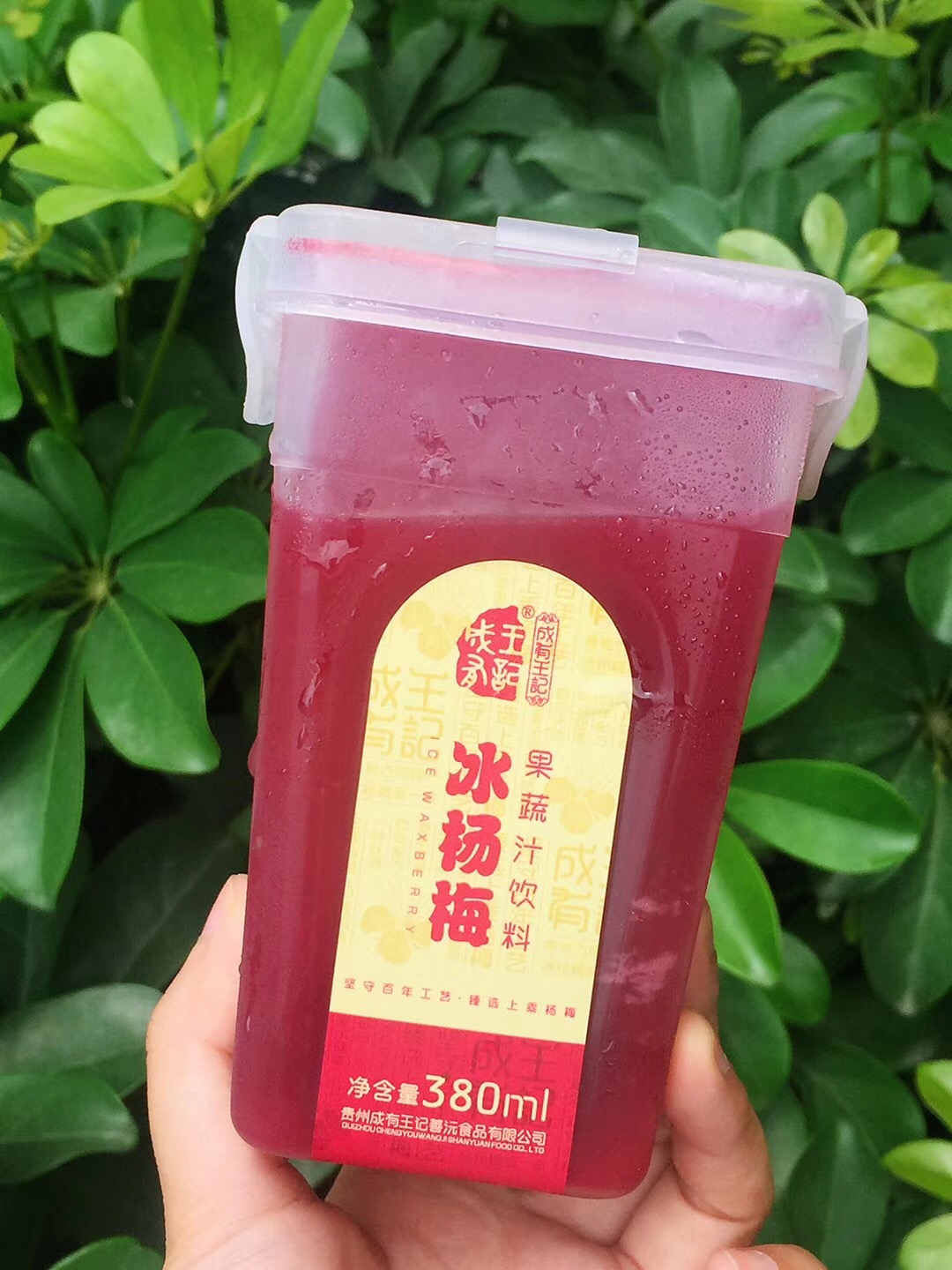 Chengdu That day Service Guizhou Bayberry juice Net Red Bayberry juice 380ml*6 Bottlein the Aquatic meat/Fresh fruits and vegetables/Cooked , Fresh fruit , Other category - from Buy2taobao.com to provide professional Taobao agent buy service
