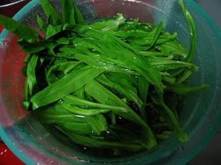  老一特卖 新鲜绿色有机  蔬菜 上海本地油墨菜  4.8元500克