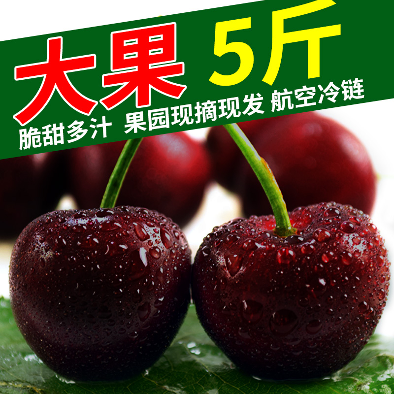 特大 山东烟台大樱桃车厘子新鲜水果3-10点包邮车里子美早5斤现货在类目 水产肉类/新鲜蔬果/熟食, 新鲜水果, 车厘子/樱桃中 - 来自Buy2taobao.com提供专业的淘宝代购服务