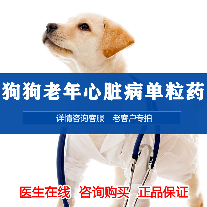 老年肺心病狗狗止喘心髒病藥支氣管擴張老年狗咳喘藥貓哮喘單粒價在類目 寵物/寵物食品及用品, 貓/狗保健品中 - 來自Buy2taobao.com提供專業的淘寶代購服務