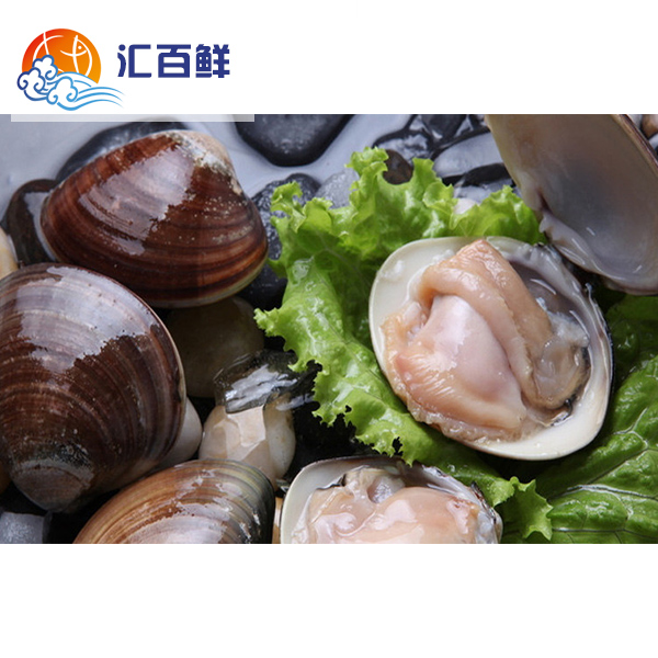 Special Offer Promotion Fresh Clams A big fat man Clams 500 Ke Shao Tang Barbecue Seafoodin the Aquatic meat/Fresh fruits and vegetables/Cooked , Seafood/Aquatic/Product , Shellfish , Shellfish Products category - from Buy2taobao.com to provide professional Taobao agent buy service