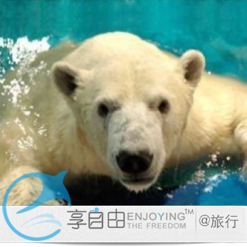 辽宁旅游 长春出发 大连、旅顺、老虎滩双卧4日游/户外/浪漫休闲 辽宁旅游 长春出发 大连、旅顺、老虎滩双卧4日游/户外/浪漫休闲