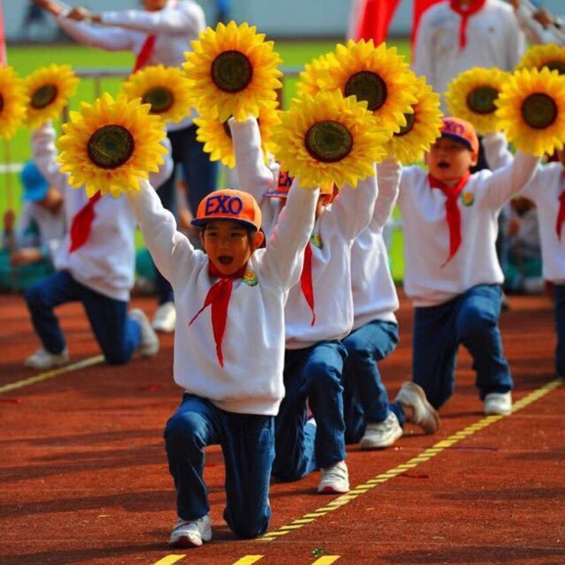 手花 舞蹈 演出幼儿园舞蹈道具向日葵儿童表演道具运动会入场道具在类目 运动/瑜伽/健身/球迷用品, 舞蹈/健美操/体操, 啦啦队, 更多啦啦队配饰中 - 来自Buy2taobao.com提供专业的淘宝代购服务