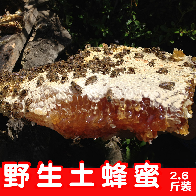 香格里拉蜂蜜纯正天然农家自产2.6斤老蜂农自家养野生百花蜜巢取在类目 传统滋补营养品, 蜂蜜中 - 来自Buy2taobao.com提供专业的淘宝代购服务