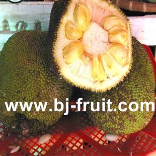  新鲜到家 鲜果专送 泰国菠萝蜜500g（10-15KG/个)