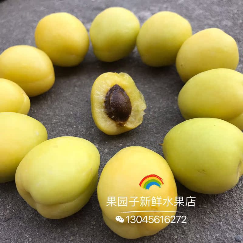 New products Small white apricot Fresh fruit Xinjiang Kuqa Small white apricot Apricots Hanging dried apricots 3 Shunfengin the Aquatic meat/Fresh fruits and vegetables/Cooked , Fresh fruit , Other category - from Buy2taobao.com to provide professional Taobao agent buy service