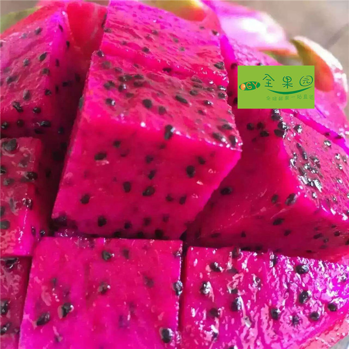 Zhengzhou Whole orchard Imported fruit Vietnam Red meat Red Pitaya pitaya Fresh fruit 5in the Aquatic meat/Fresh fruits and vegetables/Cooked , Fresh fruit , Pitaya category - from Buy2taobao.com to provide professional Taobao agent buy service