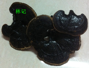  紫灵芝/黑芝/灵芝片/野生紫灵芝片/紫芝实体店保证不满意包退