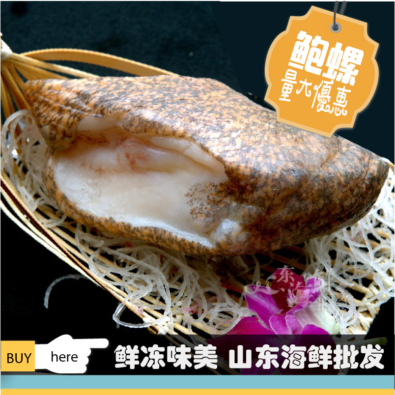珍珠鲍鱼小螺肉去壳海螺肉冷冻珍珠鲍鱼肉鲜冻海螺肉在类目 水产肉类/新鲜蔬果/熟食, 海鲜/水产品/制品, 贝类, 贝类制品中 - 来自Buy2taobao.com提供专业的淘宝代购服务