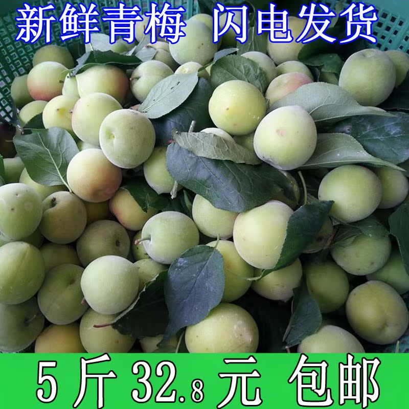 【原料立发】新鲜青梅果 5斤现摘深山青梅果生酸梅青梅酒现货在类目 水产肉类/新鲜蔬果/熟食, 新鲜水果, 其它中 - 来自Buy2taobao.com提供专业的淘宝代购服务