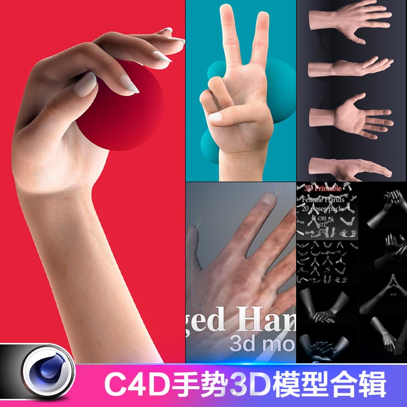 手C4D模型男人女性手型手掌三维手势CG素材防真是效果骨骼建模3d在类目 商务/设计服务, 设计服务, 设计素材/源文件中 - 来自Buy2taobao.com提供专业的淘宝代购服务