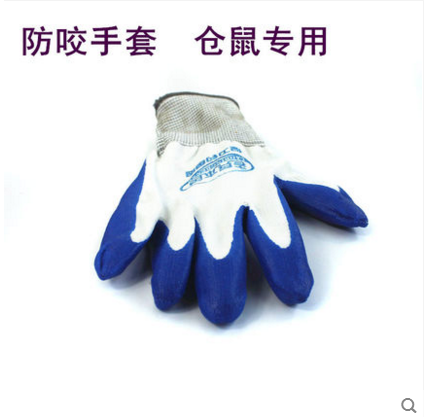 小仓鼠金丝熊用品 仓鼠防咬伤手套 鼠鼠防啃 手抓仓鼠 颜色随机在类目 宠物/宠物食品及用品, 宠物服饰及配件, 其它服饰配件中 - 来自Buy2taobao.com提供专业的淘宝代购服务