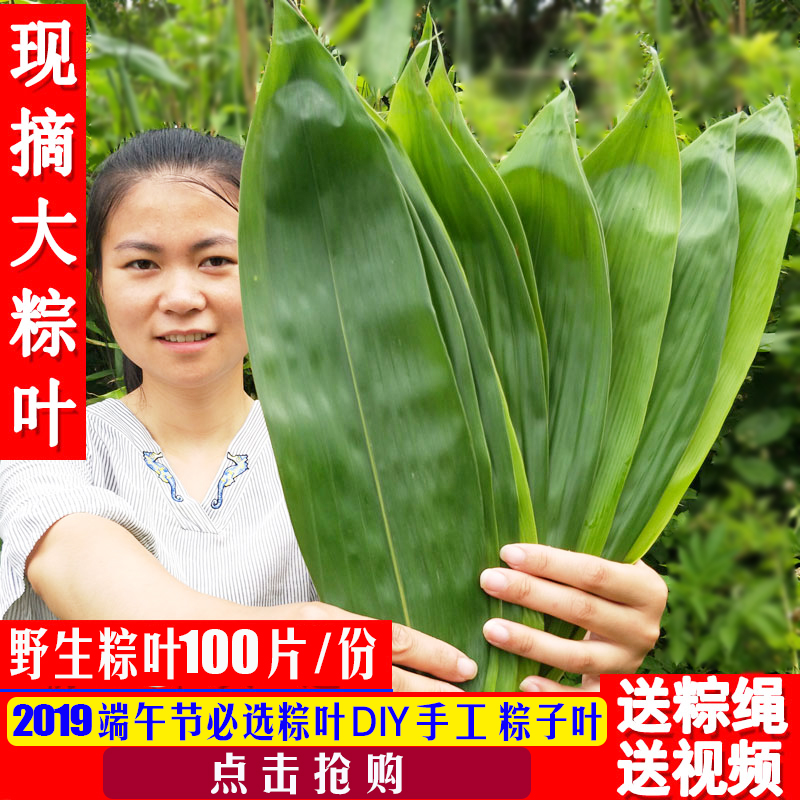 Zongzi leaf Zongye fresh Zongye Brown leaf wild Pure natural Zongye vacuum New Leaf 100 Piece Free Shippingin the Agri rice/Dried foods/Condiment , Dried foods/Meat Dry , Dry/Native , Other category - from Buy2taobao.com to provide professional Taobao agent buy service