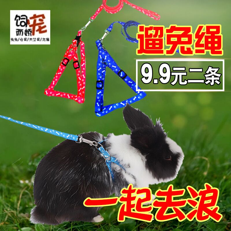 养兔配套用品兔子牵引绳兔子专用用品宠物兔绳子遛兔绳溜兔绳兔用在类目 宠物/宠物食品及用品, 兔类及其用品, 兔绳中 - 来自Buy2taobao.com提供专业的淘宝代购服务