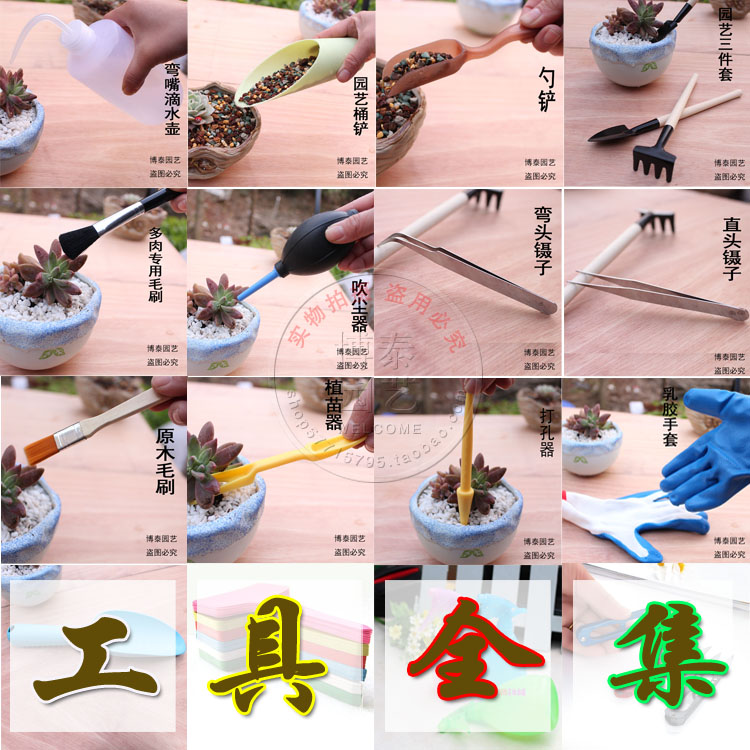 种多肉小工具花卉养花园艺种植小铁铲桶铲喷壶浇水壶气吹镊子组合|ruв категории доставка цветов/цветок моделирования/растения садоводства, садовых принадлежностей, других садовых принадлежностей - от Buy2taobao.com для оказания профессиональной услуги покупки агента Taobao
