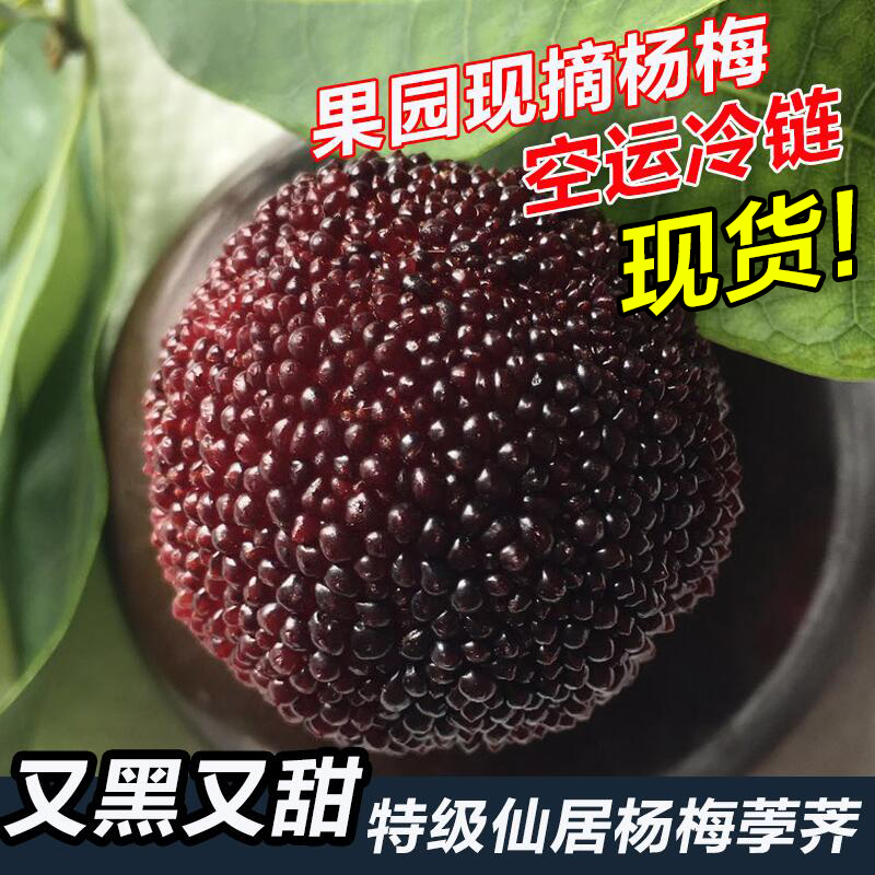 仙居杨梅新鲜特级果荸荠杨梅6斤孕妇水果批发现摘现发礼盒装包邮|ruв категории водной мясо/свежие фрукты и овощи/еда, свежие фрукты, другие - от Buy2taobao.com для оказания профессиональной услуги покупки агента Taobao