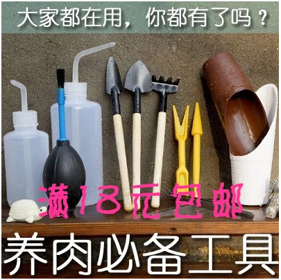 新手園藝多肉工具三件套裝種植物養澆花盆挖土迷妳小鑷鏟子包郵在類目 鮮花速遞/花卉仿真/綠植園藝, 園藝用品, 其它園藝用品中 - 來自Buy2taobao.com提供專業的淘寶代購服務