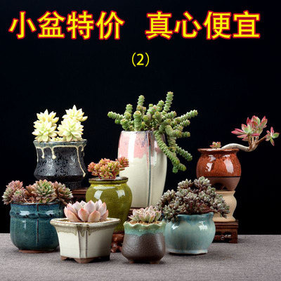 多肉花盆多肉植物花盆陶瓷小花盆大号紫砂欧式创意绿植特价高简约
