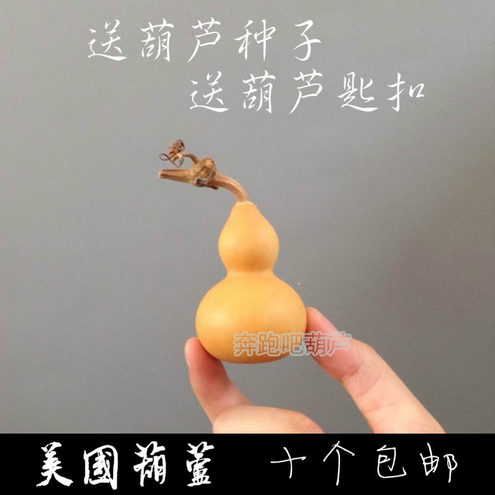 natural gourd Boutique Gourd The pieces Hand twist gourd Man playing gourd Decorationin the Arts and crafts , Folk arts and crafts Features , Gourd category - from Buy2taobao.com to provide professional Taobao agent buy service