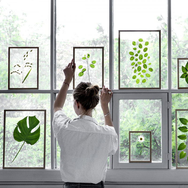 solid wood Photo frame Photo Swing sets originality Wall hanging Frame Living according to Simplicity Light extravagance Lip print 67 Botany specimenin the Home accessories , Frame/Frames category - from Buy2taobao.com to provide professional Taobao agent buy service