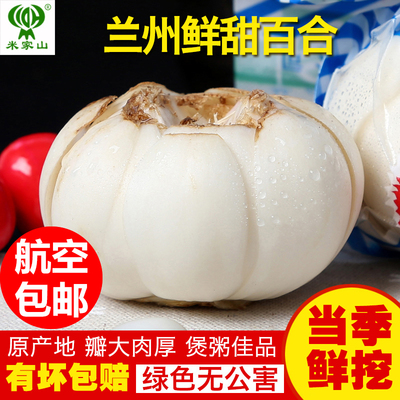 我有甘货 兰州新鲜百合大皇500g食用甜百合无硫非百合干一斤12头