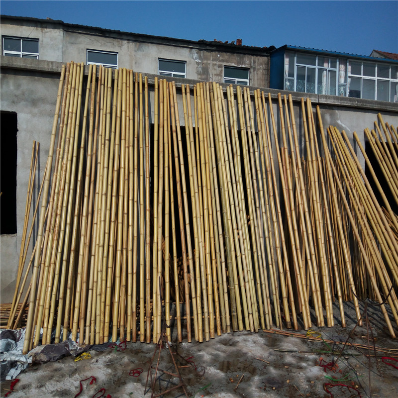竹竿包郵裝潢粗楠竹子防腐菜園搭架籬笆柵欄彩旗細竹杆跳舞在類目 鮮花速遞/花卉仿真/綠植園藝, 園藝用品, 大型籬笆/柵欄中 - 來自Buy2taobao.com提供專業的淘寶代購服務