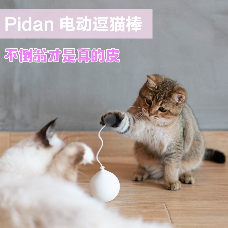 Pidan网红不倒翁猫玩具电动逗猫棒猫咪玩具自嗨猫用品自动逗猫器在类目 宠物/宠物食品及用品, 猫/狗玩具, 逗猫棒中 - 来自Buy2taobao.com提供专业的淘宝代购服务