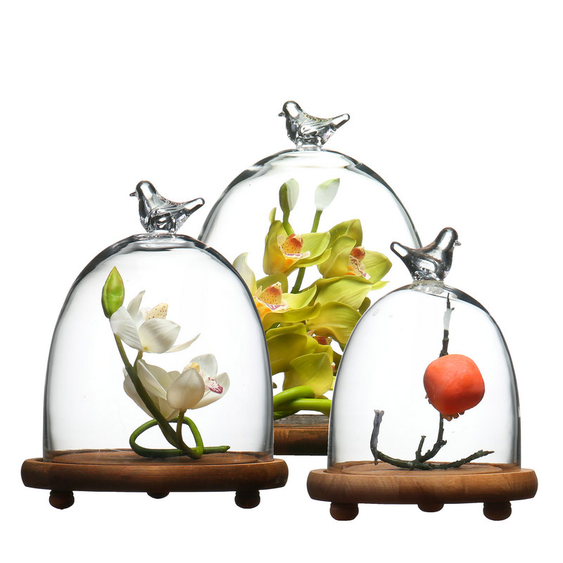 Glass cover transparent Show cover originality gift Decoration Transparent flowers Model Antique dustproof Exhibition Glass coverin the Home accessories , Decoration category - from Buy2taobao.com to provide professional Taobao agent buy service