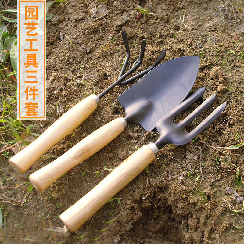 园艺种植工具种菜种花工具小铲子小耙子铁锹盆栽种植专用工具|msdalam kategori penghantaran bunga/bunga simulasi/tumbuhan berkebun, Gardening Supplies, Peralatan Perkebunan lain - dari Buy2taobao.com untuk memberikan perkhidmatan ejen Taobao profesional membeli