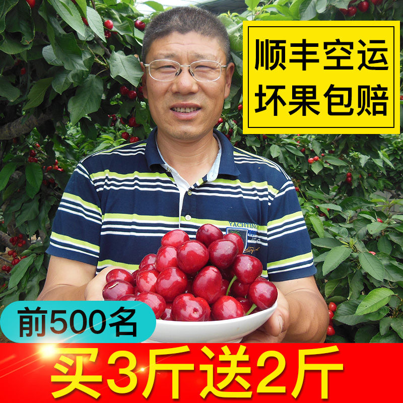 【昆嵛山】大樱桃3烟台车厘子5露天新鲜水果现摘现发美早顺丰空运|msdalam kategori daging perikanan/Buah-buahan segar dan sayur-sayuran/dimasak, buah-buahan segar, ceri/ceri - dari Buy2taobao.com untuk memberikan perkhidmatan ejen Taobao profesional membeli