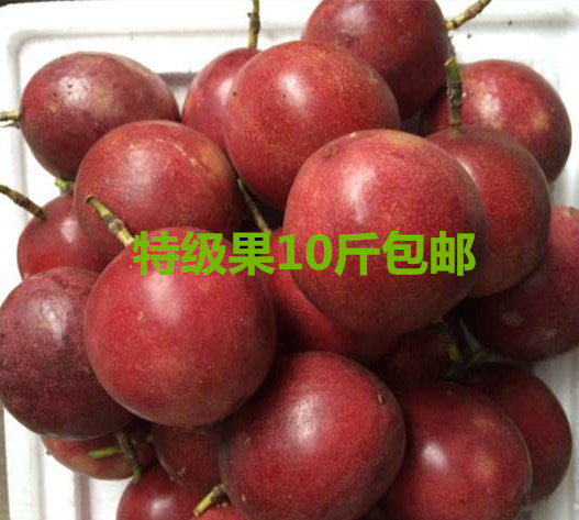 新鮮水果百香果 廣西特産西番蓮雞蛋果孕婦果大紅果10斤包郵在類目 水產肉類/新鮮蔬果/熟食, 新鮮水果, 百香果中 - 來自Buy2taobao.com提供專業的淘寶代購服務