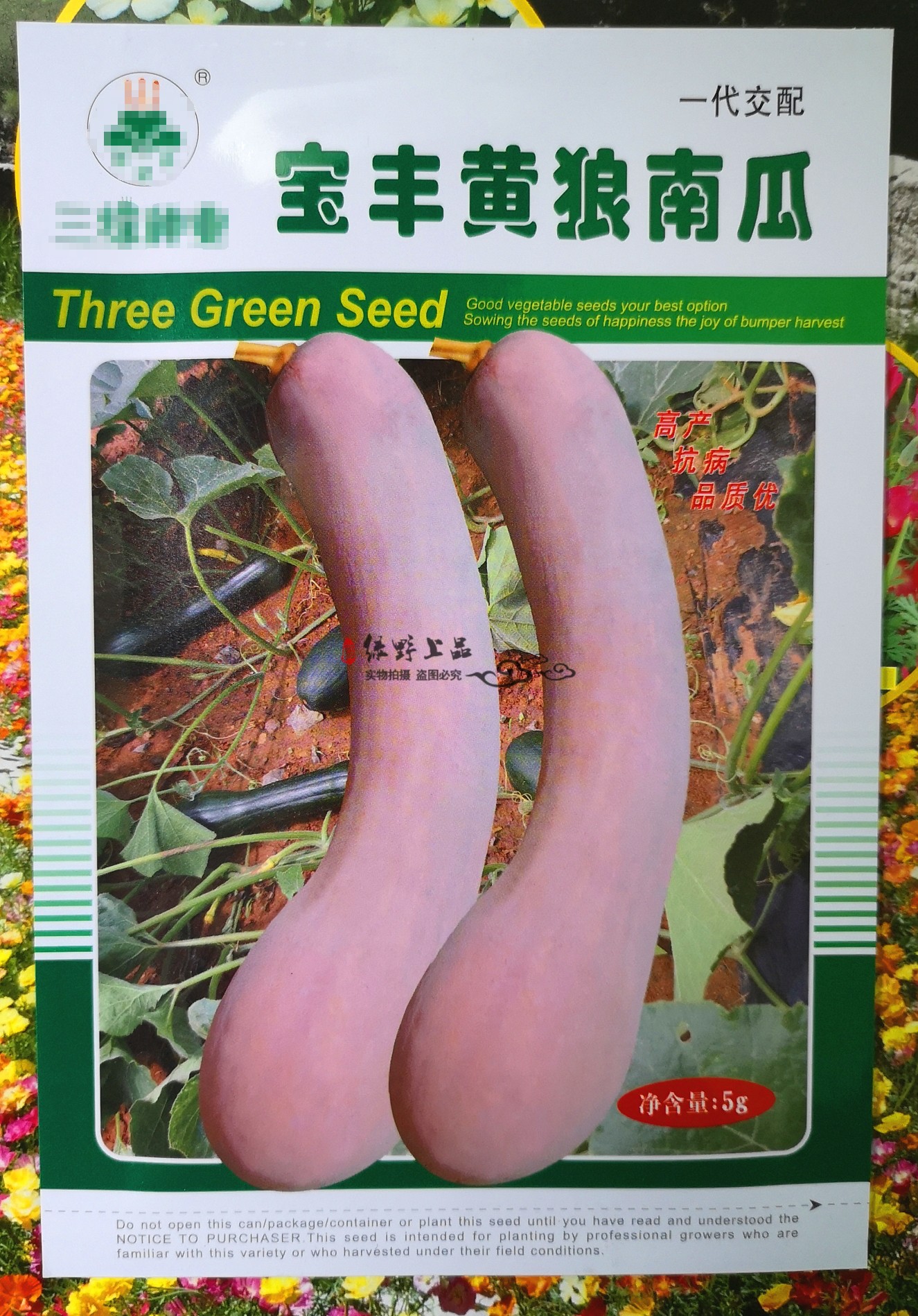 宝丰黄狼南瓜种子早熟一代杂交蔓生瓜条均匀肉质细糯口感甜耐储运|ruв категории сельскохозяйственных материалов, семена/саженцы, семян овощей - от Buy2taobao.com для оказания профессиональной услуги покупки агента Taobao