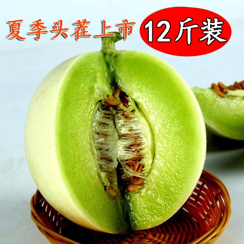 南汇玉菇甜瓜香瓜白玉茹蜜瓜网纹哈密瓜当季新鲜水果10发12斤带箱在类目 水产肉类/新鲜蔬果/熟食, 新鲜水果, 哈密瓜中 - 来自Buy2taobao.com提供专业的淘宝代购服务