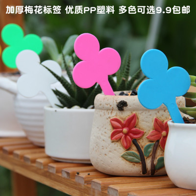 多肉标签牌包邮防水塑料园艺小插牌植物名字标记牌品种价格标识签