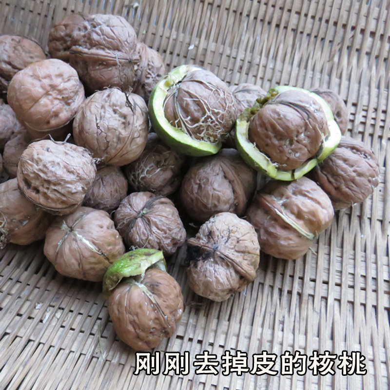 干核桃 秦岭野生老树干核桃 山核桃 老品种干核桃500g包邮在类目 零食/坚果/特产, 山核桃/坚果/炒货, 纸皮/薄皮核桃中 - 来自Buy2taobao.com提供专业的淘宝代购服务