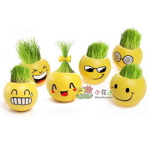 DIY礼品 办公室迷你植物盆栽 淘气郎青草种植炫酷表情草头娃娃|msdalam kategori penghantaran bunga/bunga simulasi/tumbuhan berkebun, Plants Mini kreatif - dari Buy2taobao.com untuk memberikan perkhidmatan ejen Taobao profesional membeli