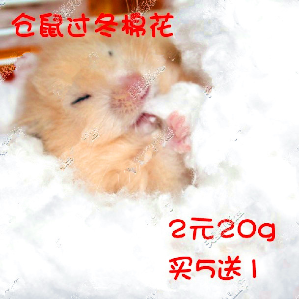 冬季仓鼠棉被 超软天然保暖棉花球过冬用品棉窝 垫材垫料彩棉被|msdalam kategori haiwan peliharaan/makanan haiwan dan bekalan, hamsters kelas haiwan peliharaan dan lain-lain kecil, bekalan haiwan kesayangan kecil (baru), Nest - dari Buy2taobao.com untuk memberikan perkhidmatan ejen Taobao profesional membeli