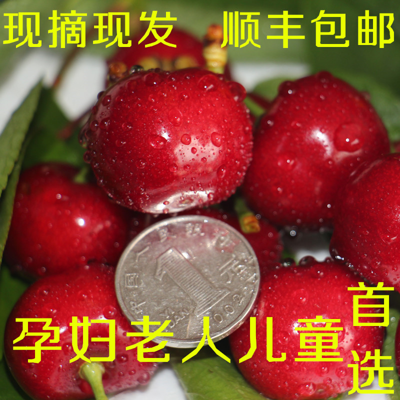 Dalian Cherry pregnant woman fruit fresh Meizao Red light Cherry Honey bean Bus 3 pounds Shunfengin the Aquatic meat/Fresh fruits and vegetables/Cooked , Fresh fruit , Cherries/Cherry category - from Buy2taobao.com to provide professional Taobao agent buy service