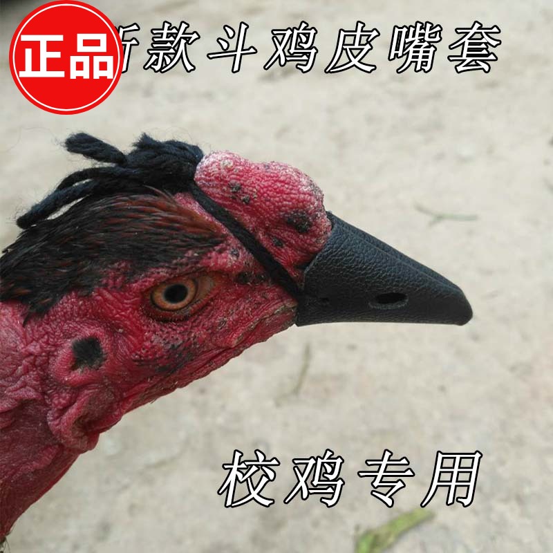 斗鸡 斗鸡用品 斗鸡嘴套 泰国斗鸡皮嘴套 斗鸡训练用品斗鸡皮护具|ruв категории животное/Животное питание и принадлежностей, других домашних животных, других домашних животных - от Buy2taobao.com для оказания профессиональной услуги покупки агента Taobao