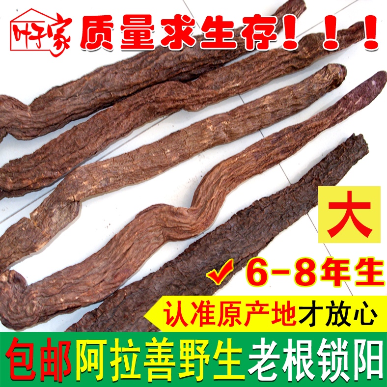 包邮内蒙古阿拉善野生老根锁阳500g2根可配肉苁蓉泡酒滋补原产地|msdalam kategori makanan berkhasiat tradisional, Lain tonik tradisional, Lain tonik tradisional - dari Buy2taobao.com untuk memberikan perkhidmatan ejen Taobao profesional membeli