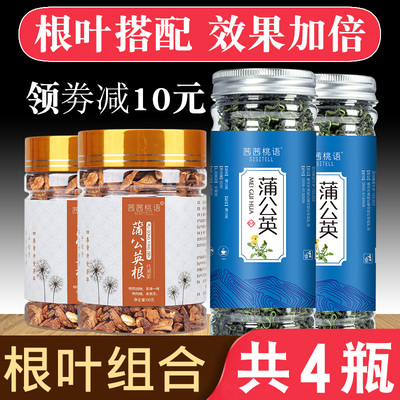 买1发4 蒲公英根茶 长白山野生天然纯浦公英正品带根干的婆婆丁茶