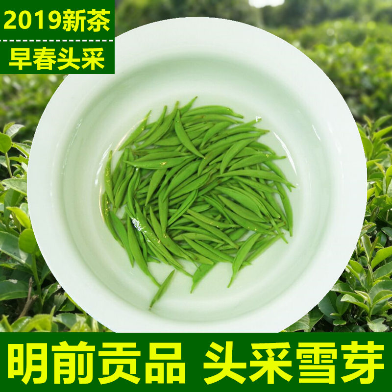 信阳毛尖2019新茶叶雪芽绿茶明前贡品头采嫩芽散装250g在类目 茶, 绿茶(新), 信阳毛尖中 - 来自Buy2taobao.com提供专业的淘宝代购服务
