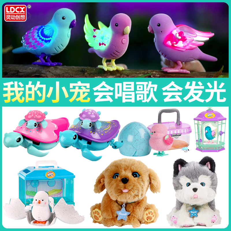Smart Imagination My Pleasantly surprised Hatch chick Toys suit luminescence Sing Birds My Dream Puppyin the Toy/Childs/Puzzle/Building block/Model , Electronic/Light/Aerated/Tricky Toy , Glow Toys category - from Buy2taobao.com to provide professional Taobao agent buy service