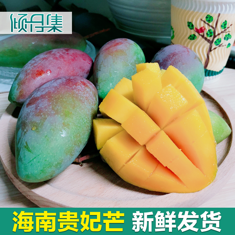 直供【贵妃芒果5斤小贵妃】海南三亚小金煌甜心水仙芒 新鲜水果|msdalam kategori daging perikanan/Buah-buahan segar dan sayur-sayuran/dimasak, buah-buahan segar, Mango - dari Buy2taobao.com untuk memberikan perkhidmatan ejen Taobao profesional membeli